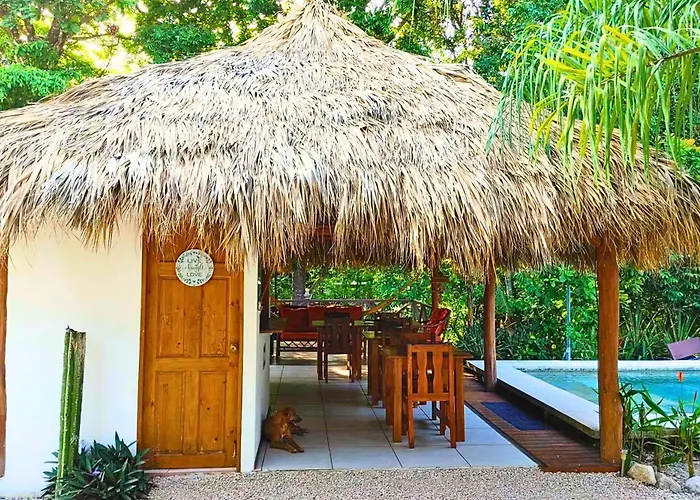 Antema Secteur Tamarindo, Piscine, Yoga, Gym, Jungle Et Paix 4* Tamarindo