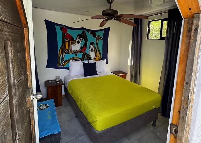 Antema Secteur Tamarindo, Piscine, Yoga, Gym, Jungle Et Paix 4* Tamarindo