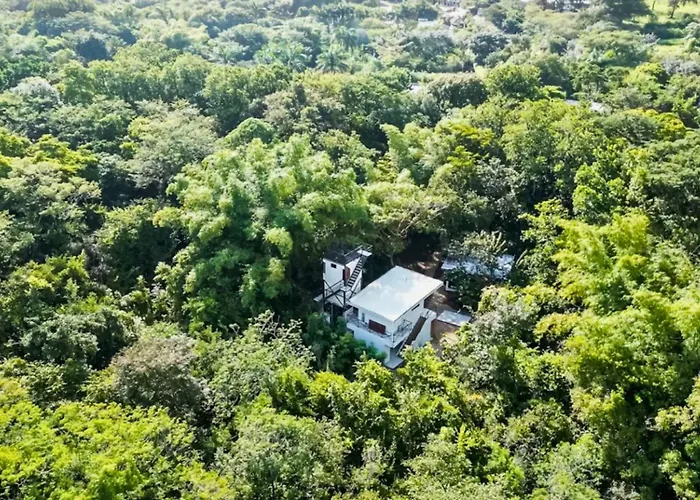 Antema Secteur Tamarindo, Piscine, Yoga, Gym, Jungle Et Paix 4* Tamarindo
